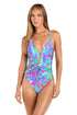 Sunshine 79 Swirltopia V-Plunge One Piece